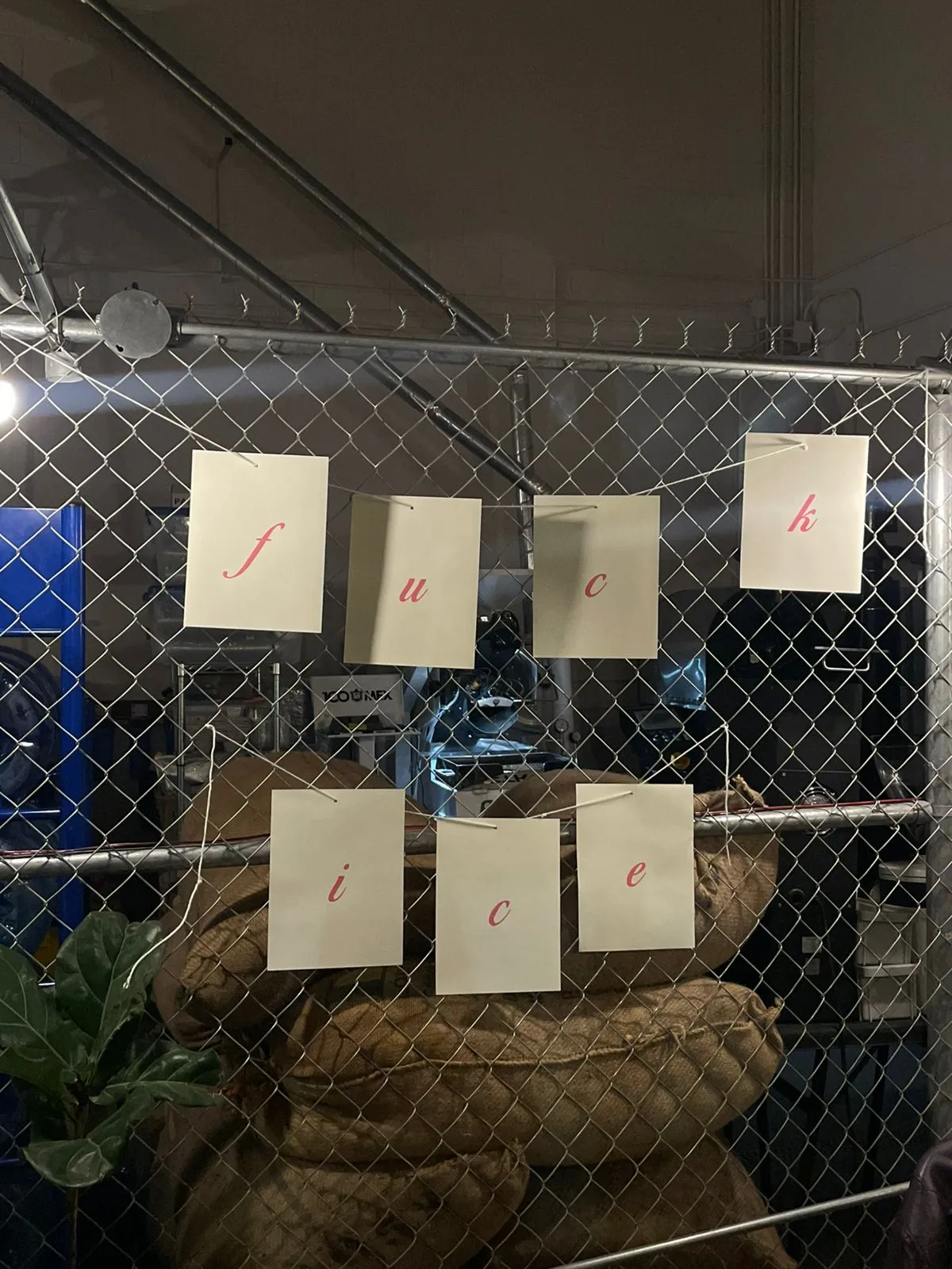 Imagen de galería