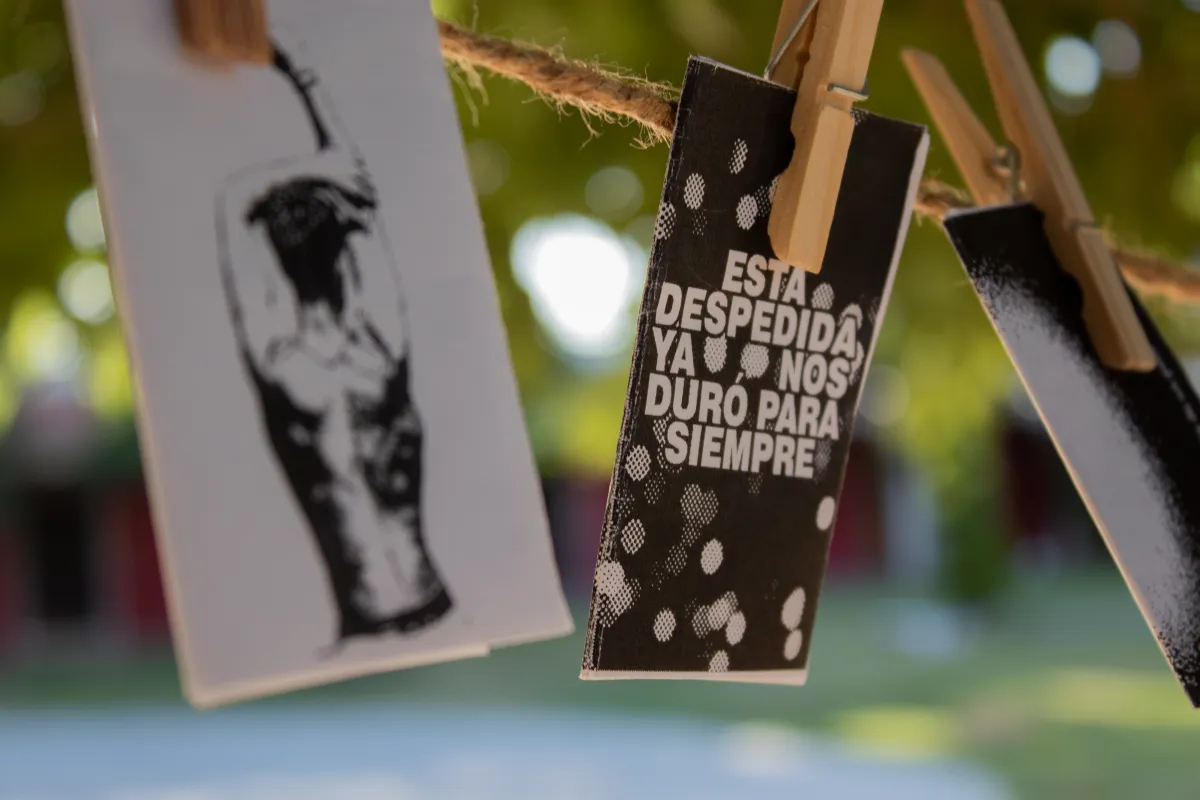 Imagen de galería