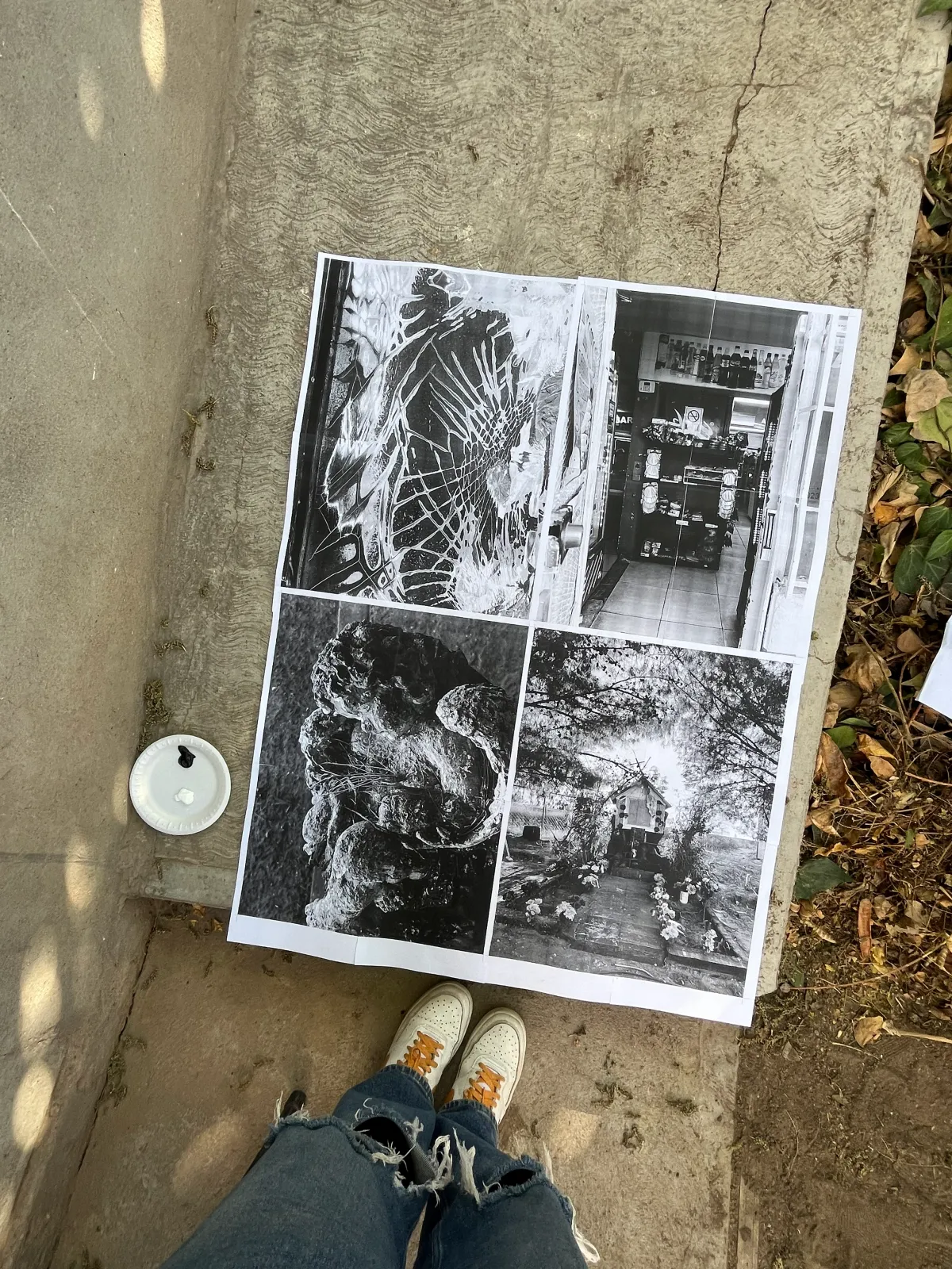 Imagen de galería