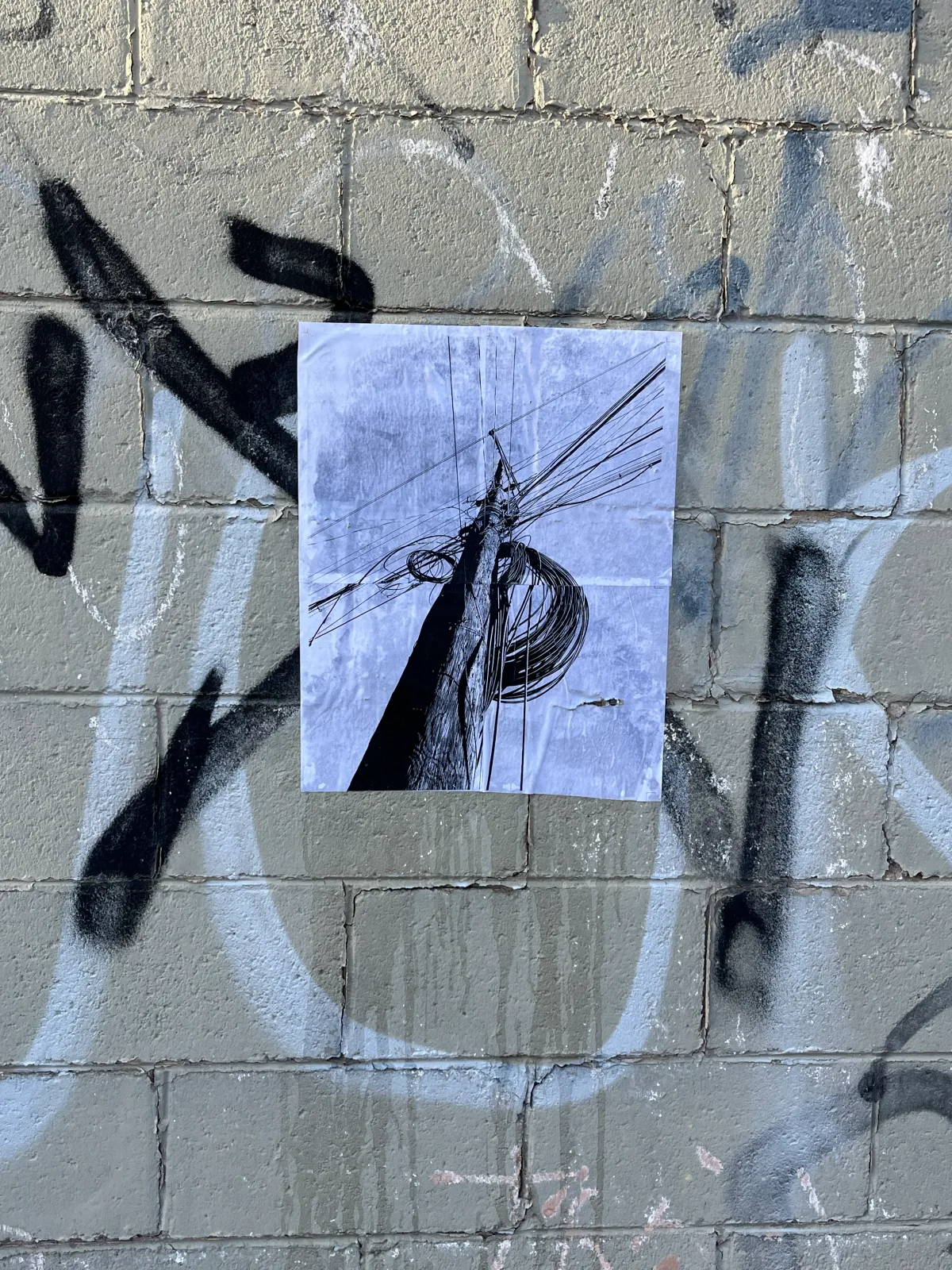 Imagen de galería